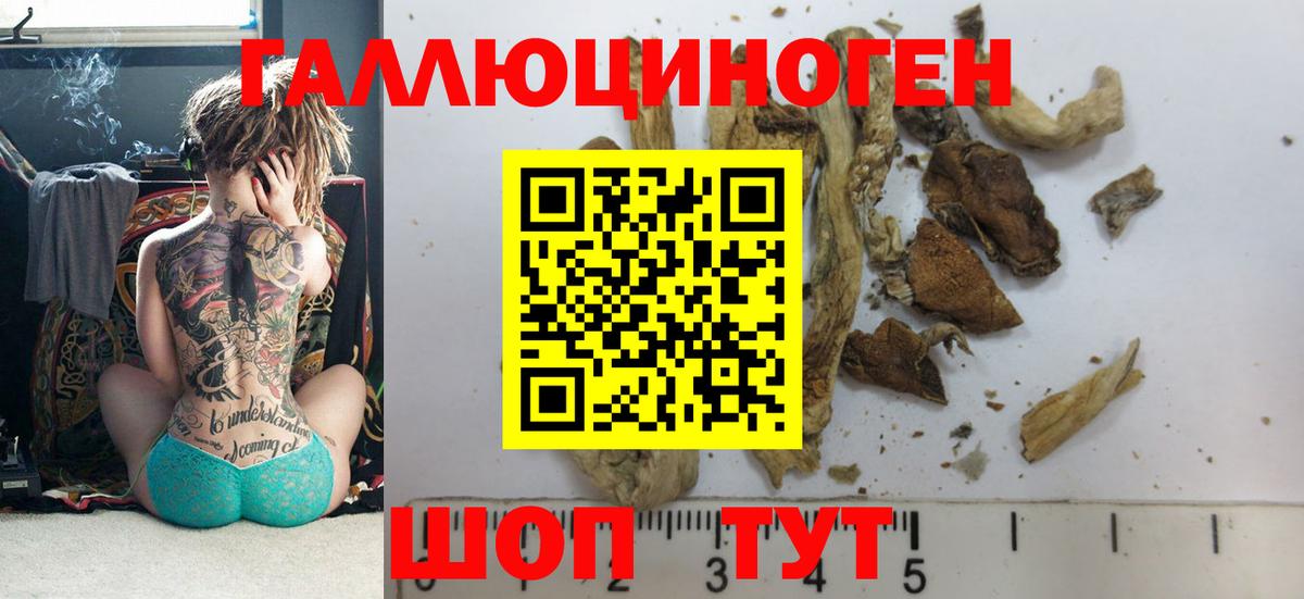 Сосновый Бор  Конопля  MDMA  ГАШИШ  Вход с VPN  Меф МЯУ МЯУ кристаллы 