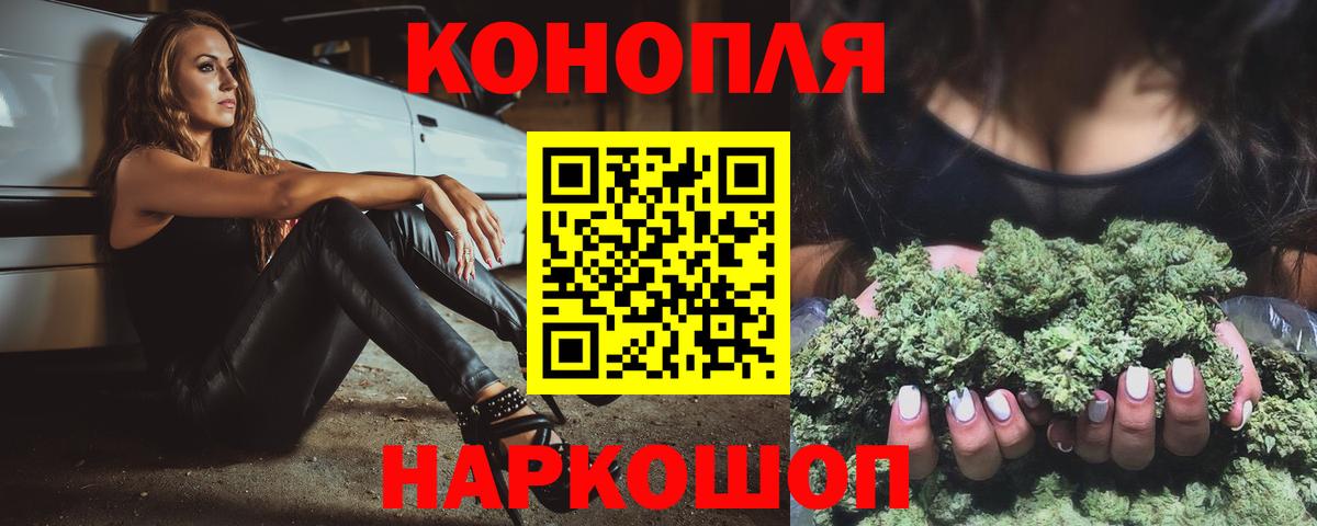 Конопля OG Kush Сосновый Бор